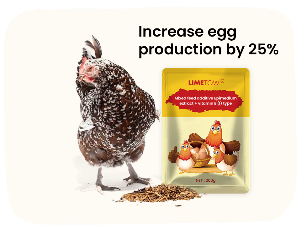LIMETOW® EggBoost