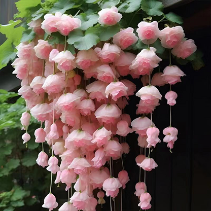 LIMETOW® Wind Chime Begonia Seeds
