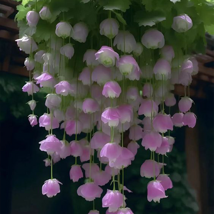 LIMETOW® Wind Chime Begonia Seeds