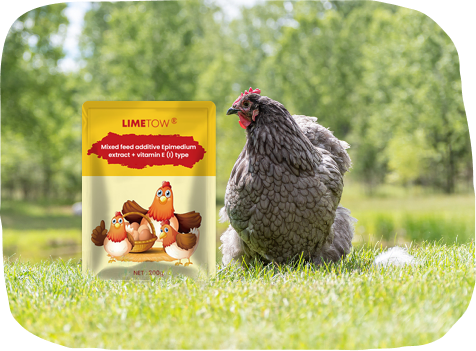 LIMETOW® EggBoost