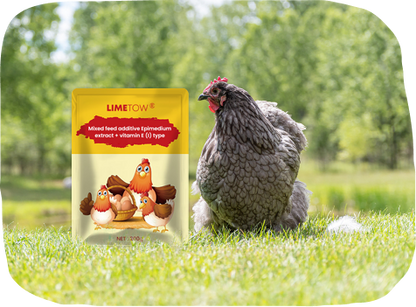 LIMETOW® EggBoost