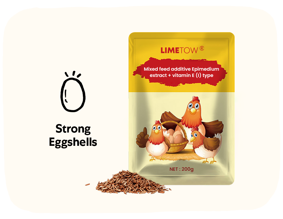 LIMETOW® EggBoost