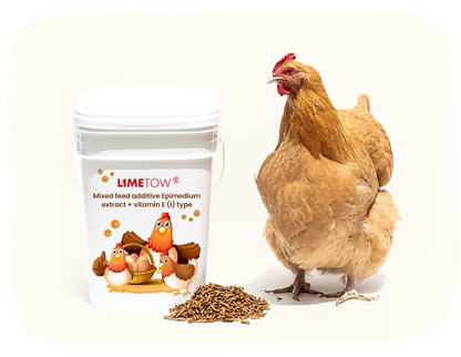 LIMETOW® EggBoost