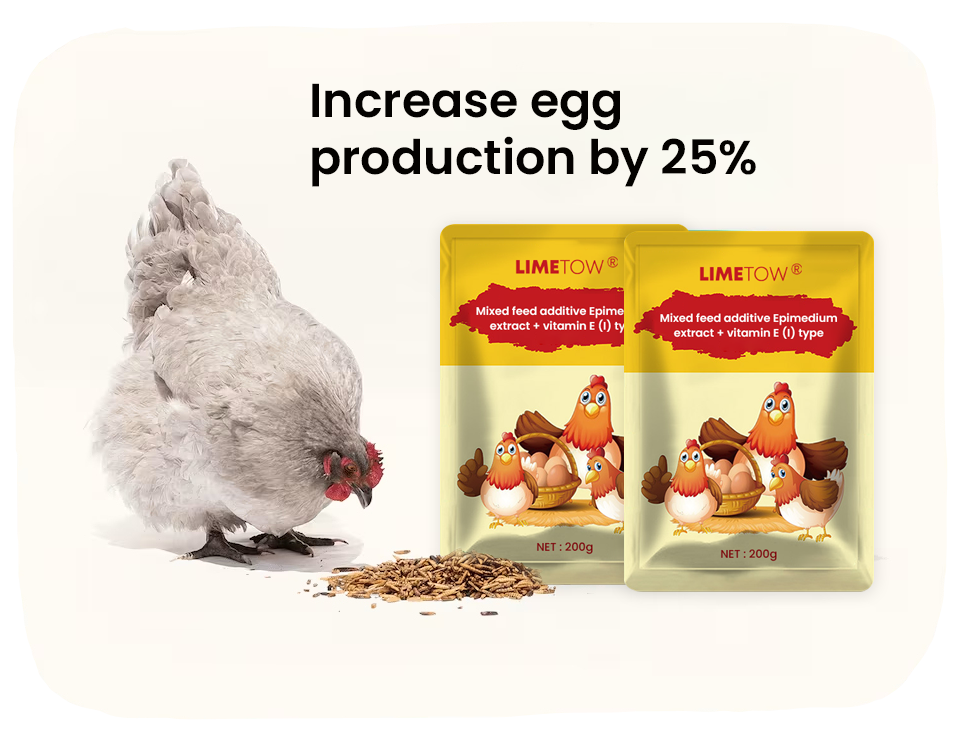 LIMETOW® EggBoost