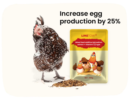 LIMETOW® EggBoost