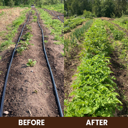 LIMETOW® Soil Activator
