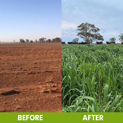LIMETOW® Soil Activator