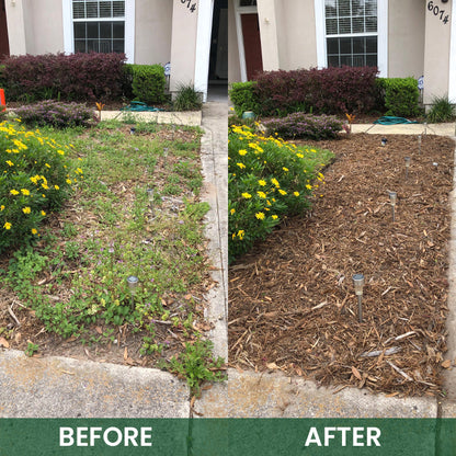 LIMETOW® 2-in-1 Maximum Power Herbicide